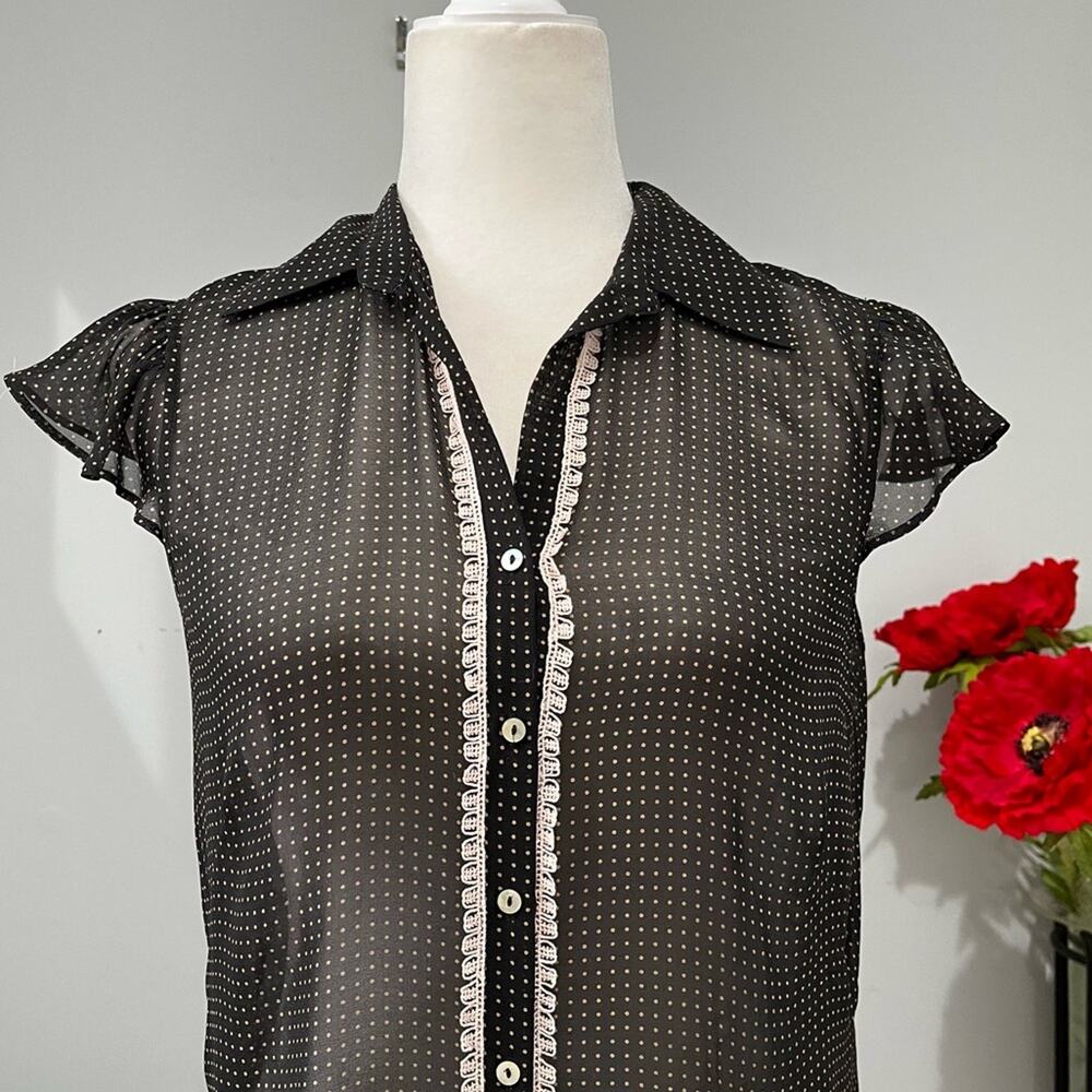 NEW Max Studio Silk Polka Dot Lace Trim Flutter Cap Sleeve Sheer Blouse S NWOT - Picture 2 of 16